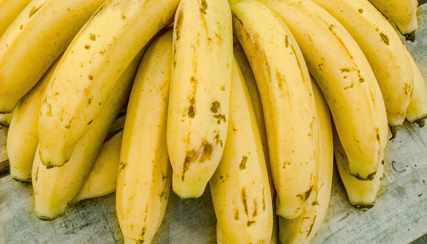 o que comer para dor de estômago