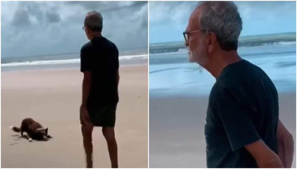 Demência frontotemporal