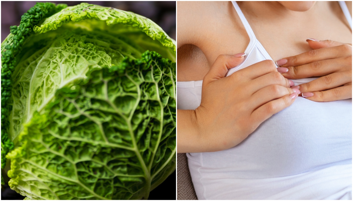 Repolho no seio para dor e inchaço: dica muito popular entre mães é estranha, mas benéfica