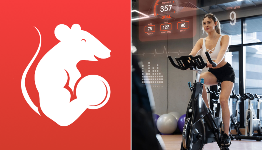 GymRats (Crédito: Divulgação/Play Store |
freepik/
freepik)