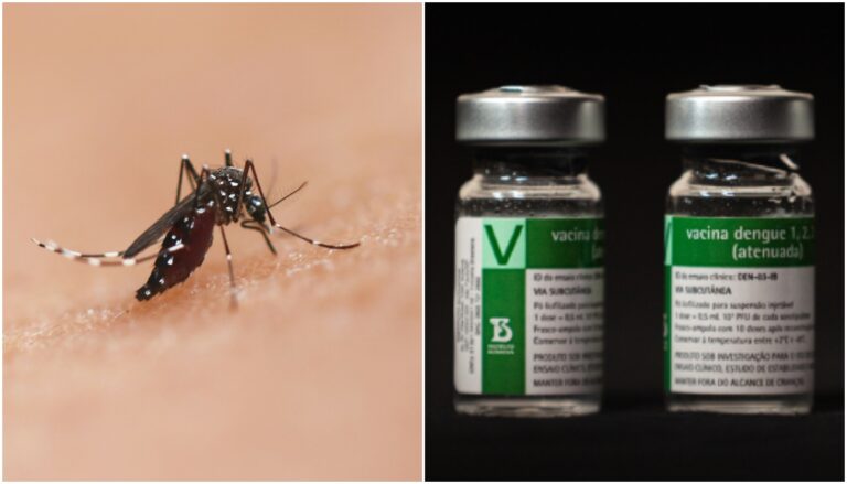 vacina da dengue