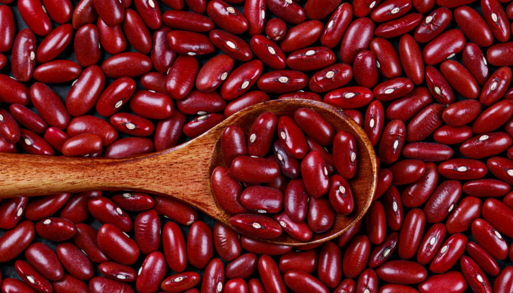 Arroz e feijão são ótima fonte de proteína e fibras