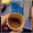 substitutos whey protein