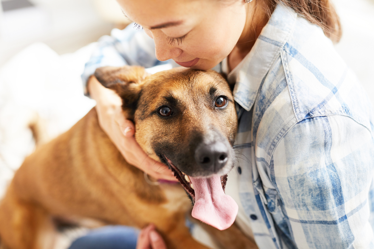 Ter um cão ou gato pode fazer muito bem para sua saúde.
