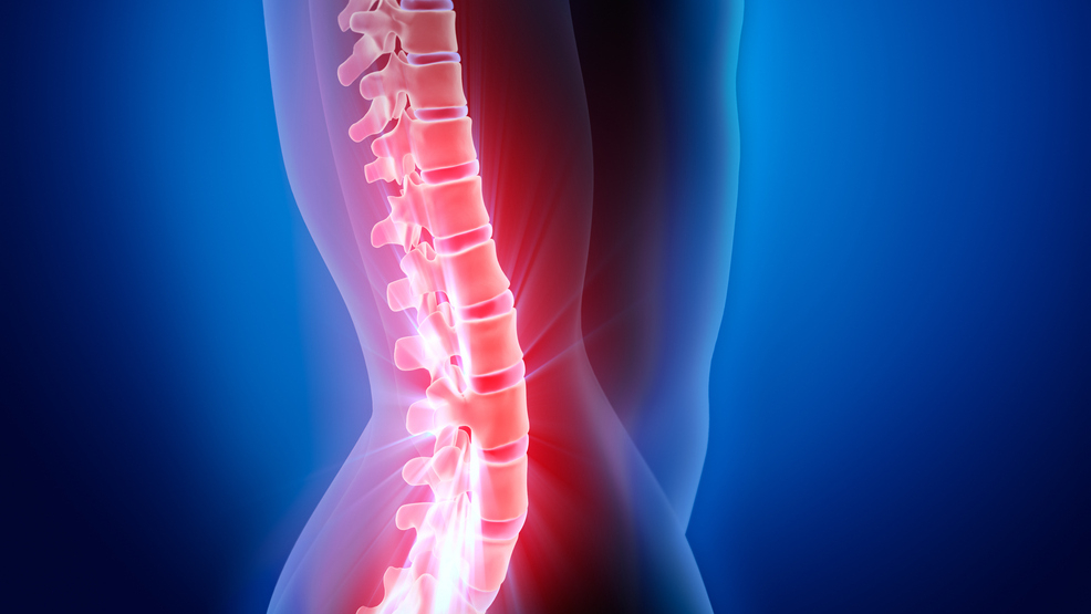 Coluna vertebral
