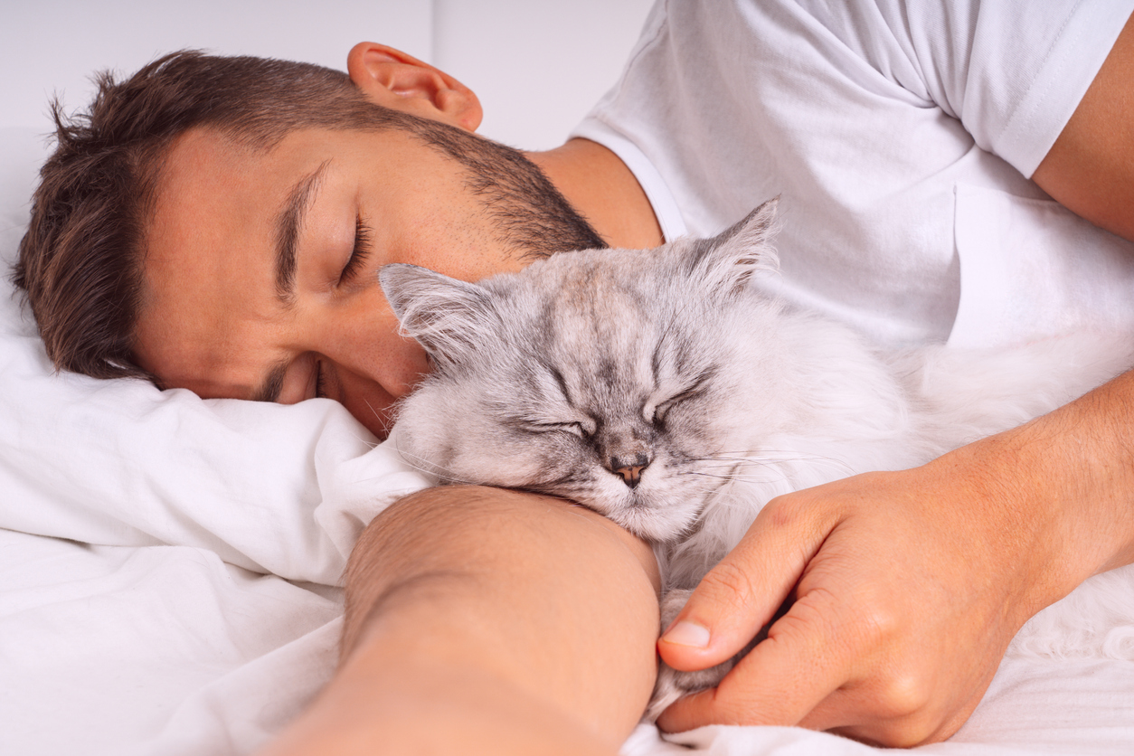 Intensidade do luto vai depender do vínculo entre o dono e seu pet.
