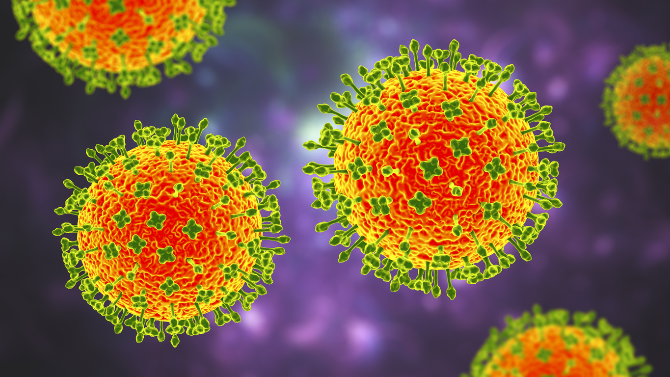 Nipah vírus, pertecente ao gênero henipavírus