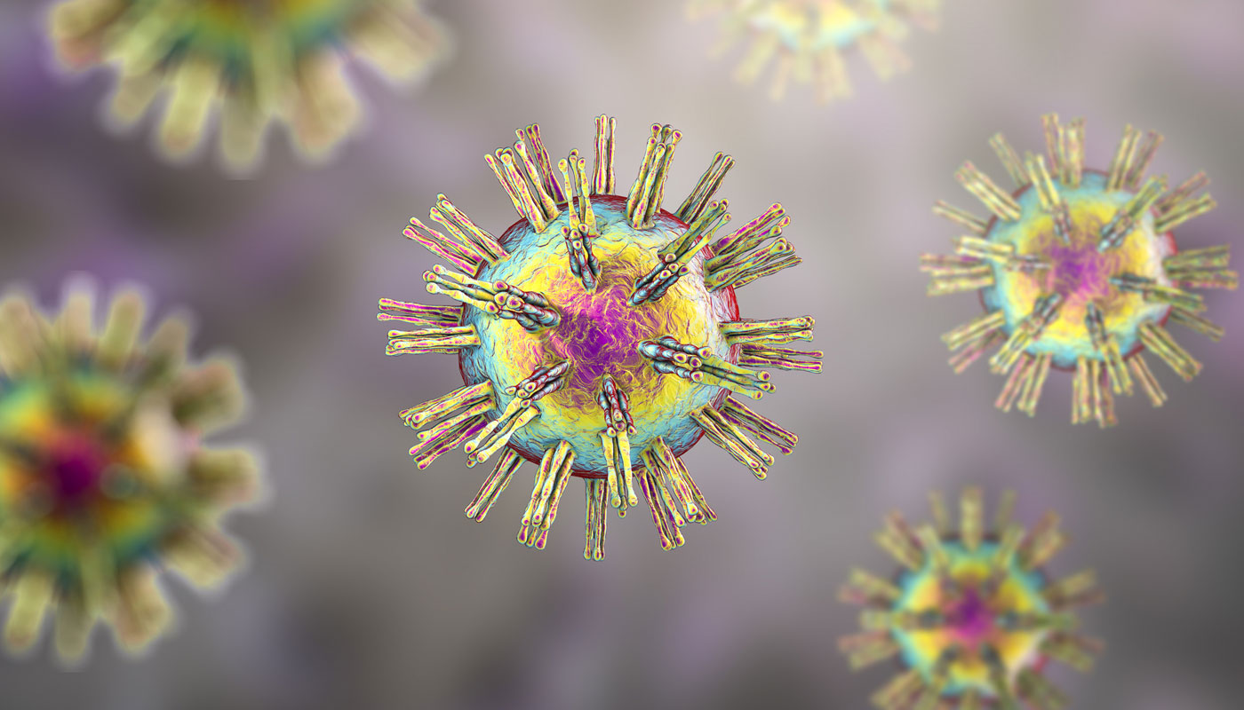 Vírus Herpes simplex