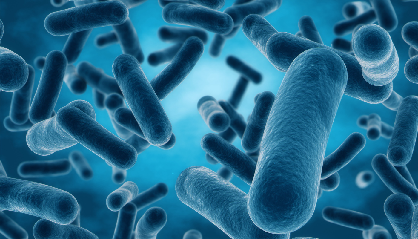 Secadores de mão em banheiros espalham bactérias de fezes nas suas mãos, diz estudo