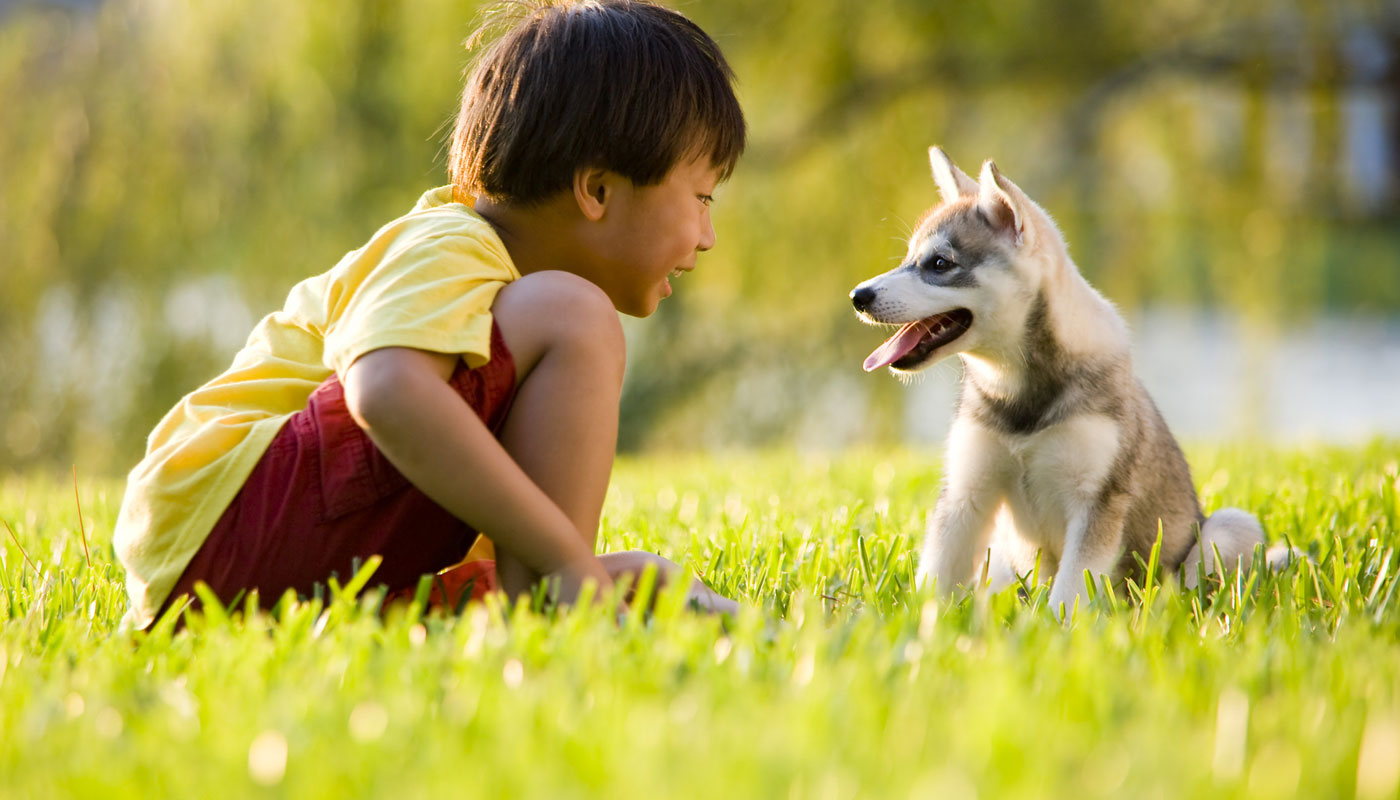 Menino e cão