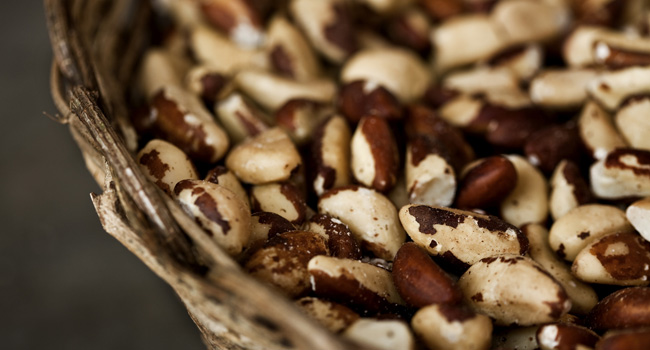 15 verdades sobre a castanha-do-pará e por que todo nutricionista indica comê-la