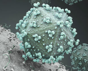 Exame de HIV com resultado errado: quando isso pode acontecer