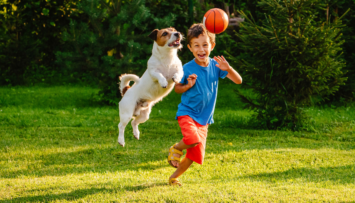 Menino brinca com cachorro