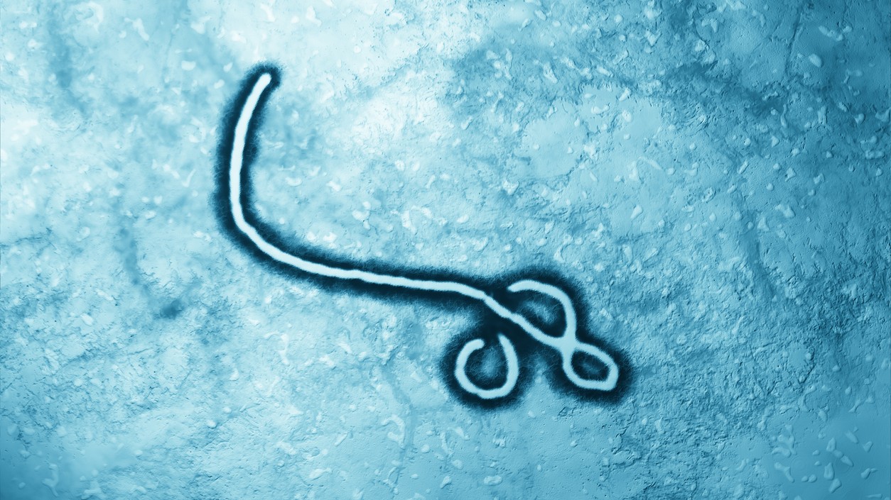 Vírus do ebola